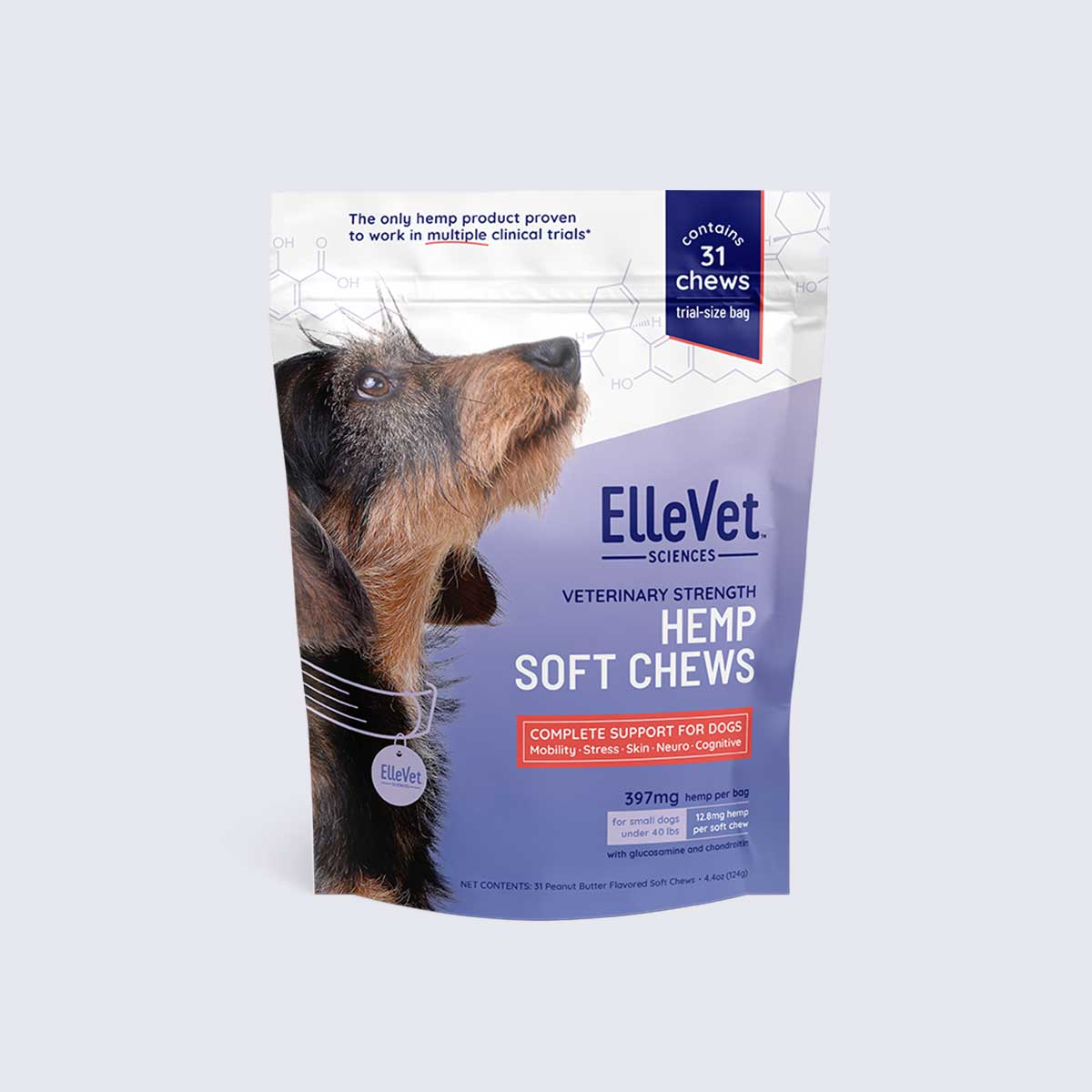 Canine, Dog, Pet, Terrier, Airedale