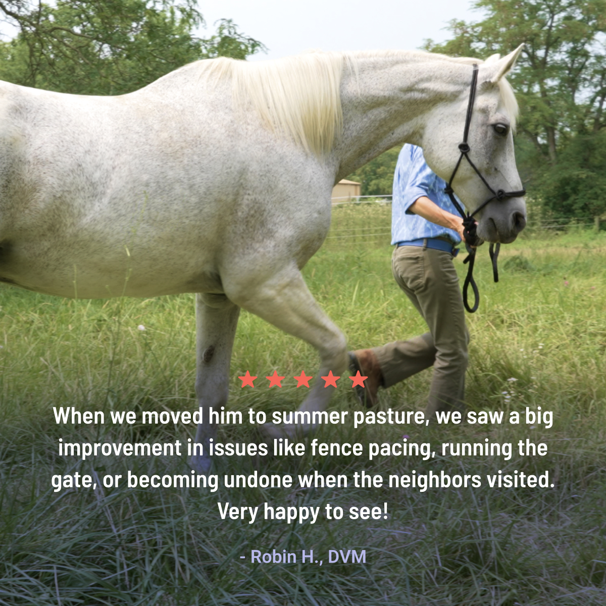 Equine Pellet Testimonial Lifestyle Image