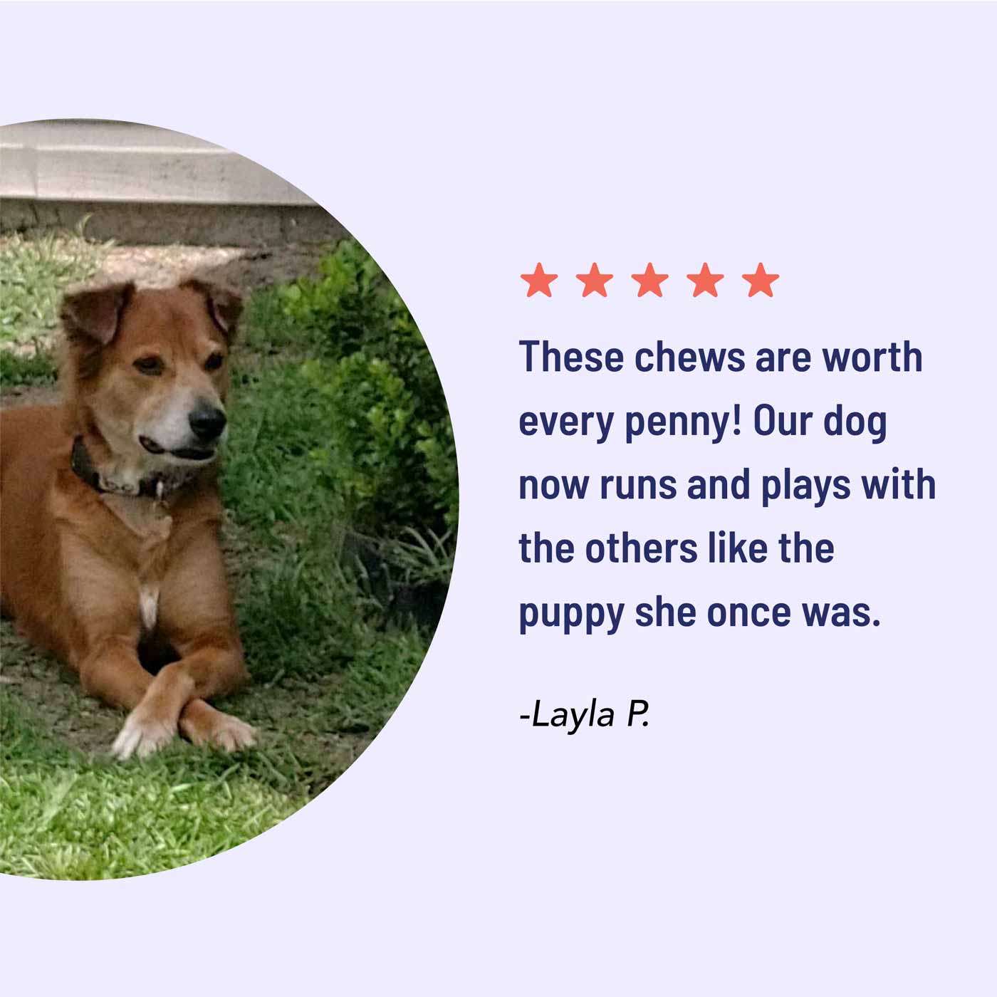 soft chews customer testimonial