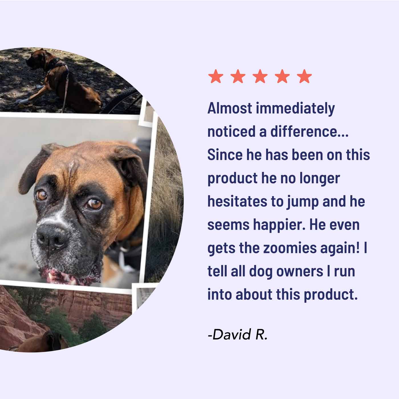 dog oil customer testimonial