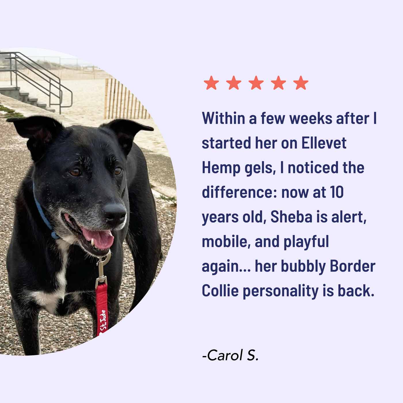 soft gel customer testimonial