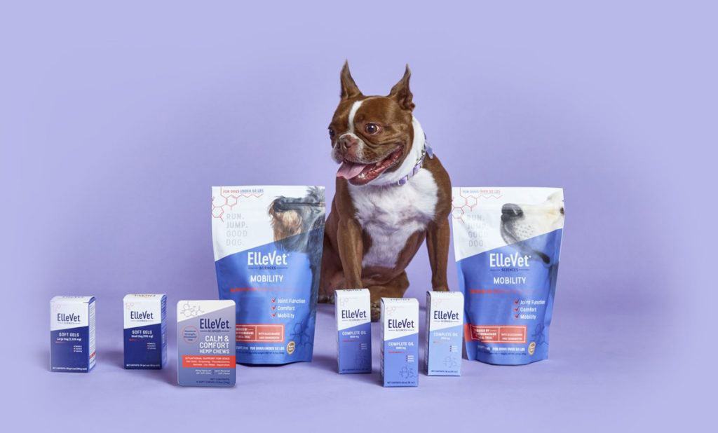 Small dog with multiple ElleVet products
