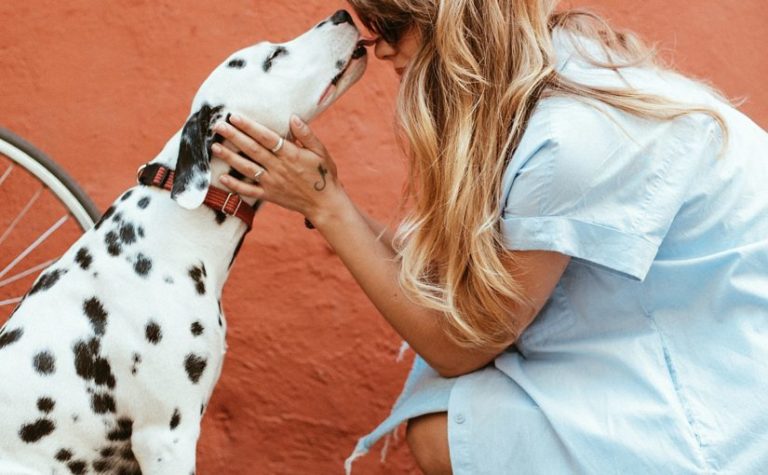 Should You Self-Isolate From Pets? COVID-19 Quarantine Planning With Pets